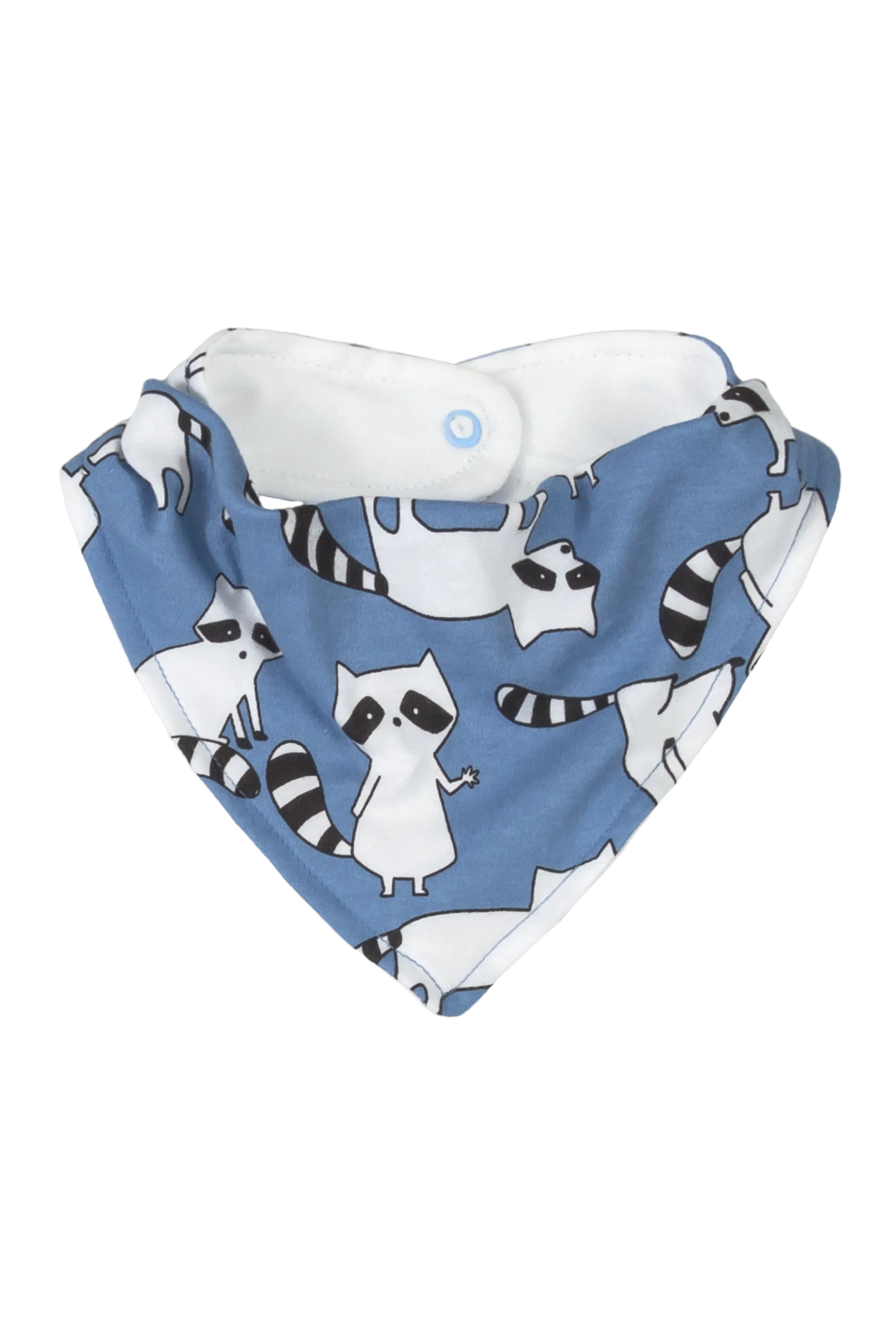10 Piece Racoon Essentials Collection