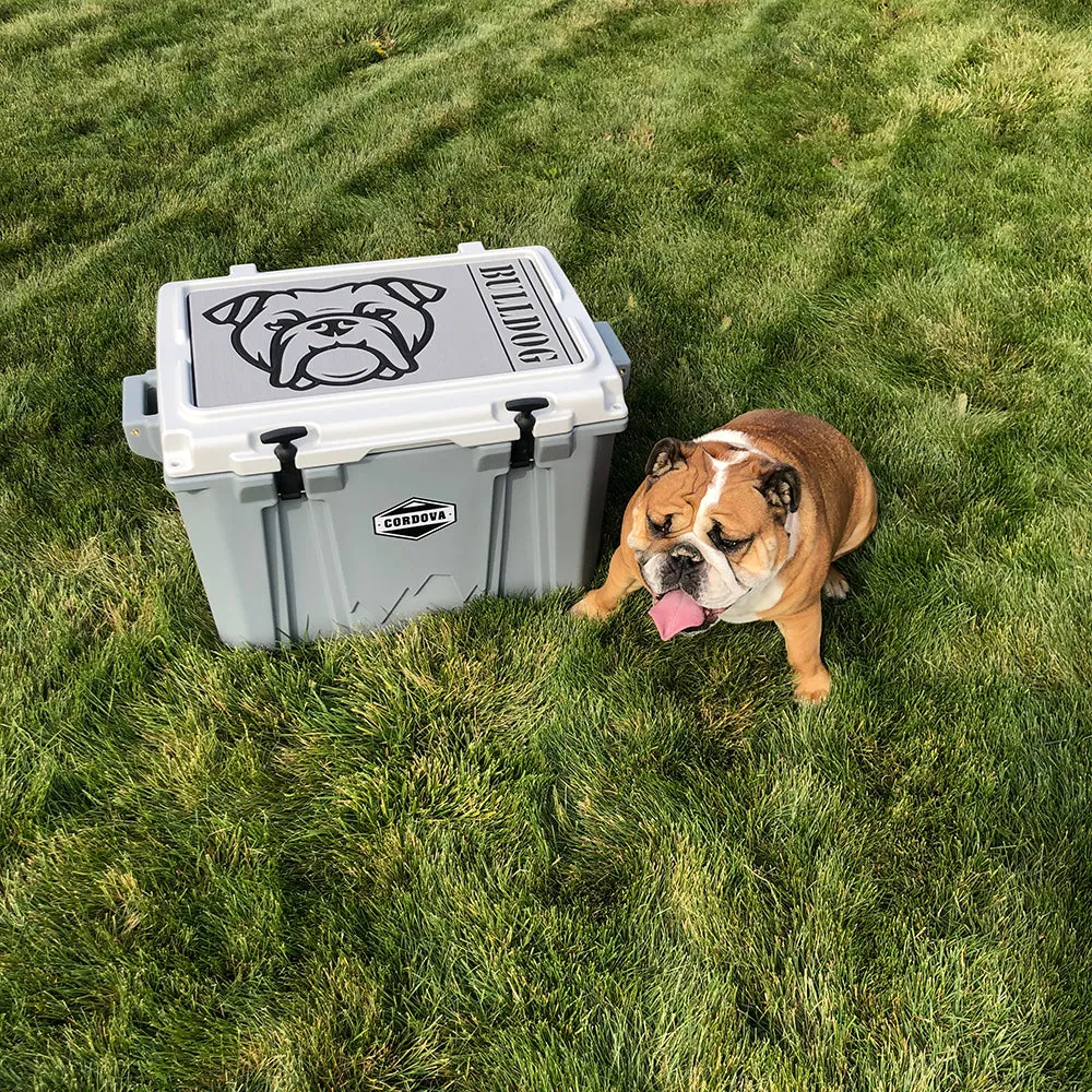 English Bulldog - T/B