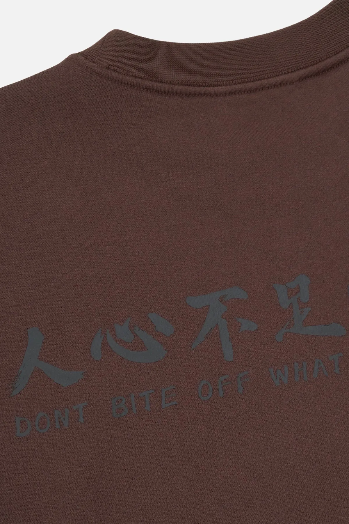 Jaylen Sweatshirt (Brown) - MSPTK909-T1429BRSBI