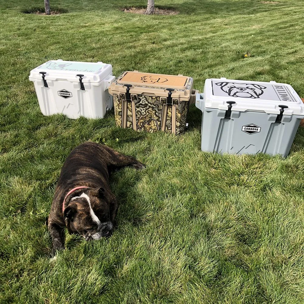 Labrador Name - DG/AQ