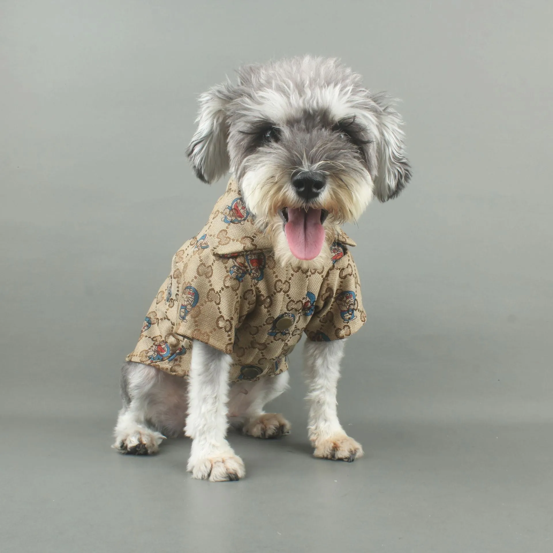 Teddy Fluffy Coat